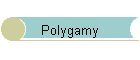 Polygamy