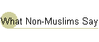 What Non-Muslims Say